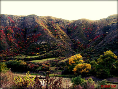 დამტვრეული ქანდაკებები და ფოტოზე გადატანილი ტკივილიანი სახეები Rating
